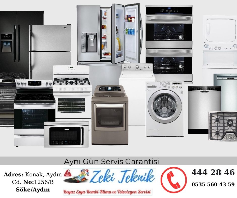 Söke Electrolux Servisi